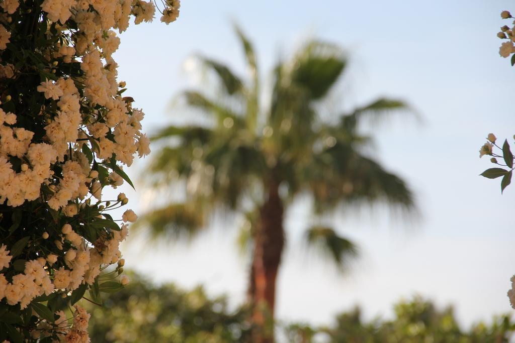 Fincahotel Los Naranjos Son Sardina Dış mekan fotoğraf